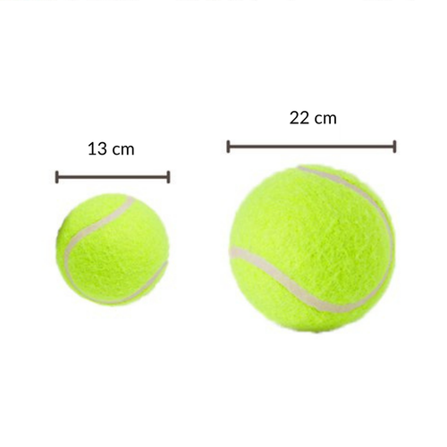 Balle de padel Géante Head Medium Ball 13cm - Esprit Padel Shop