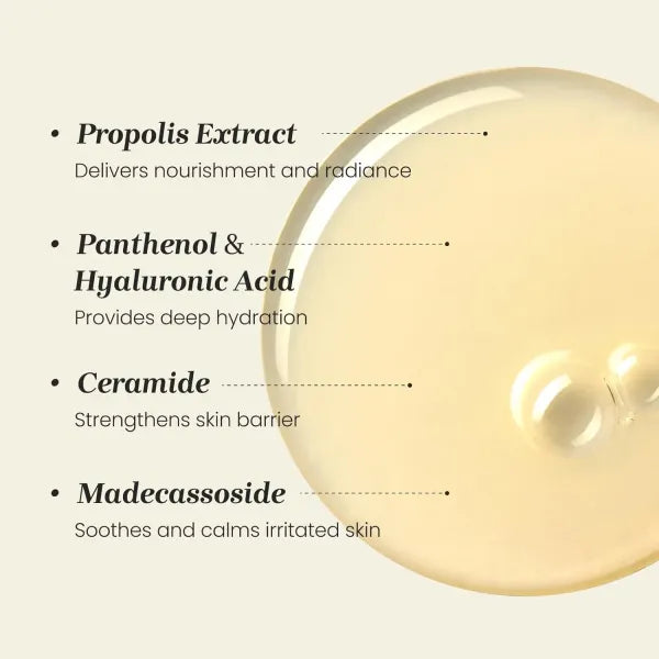 CNP LABORATORY Propolis Treatment Ampule Essence 150ml+100ml