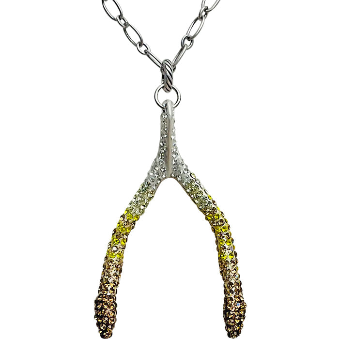 Make A Wish Wishbone Necklace (Silvertone)