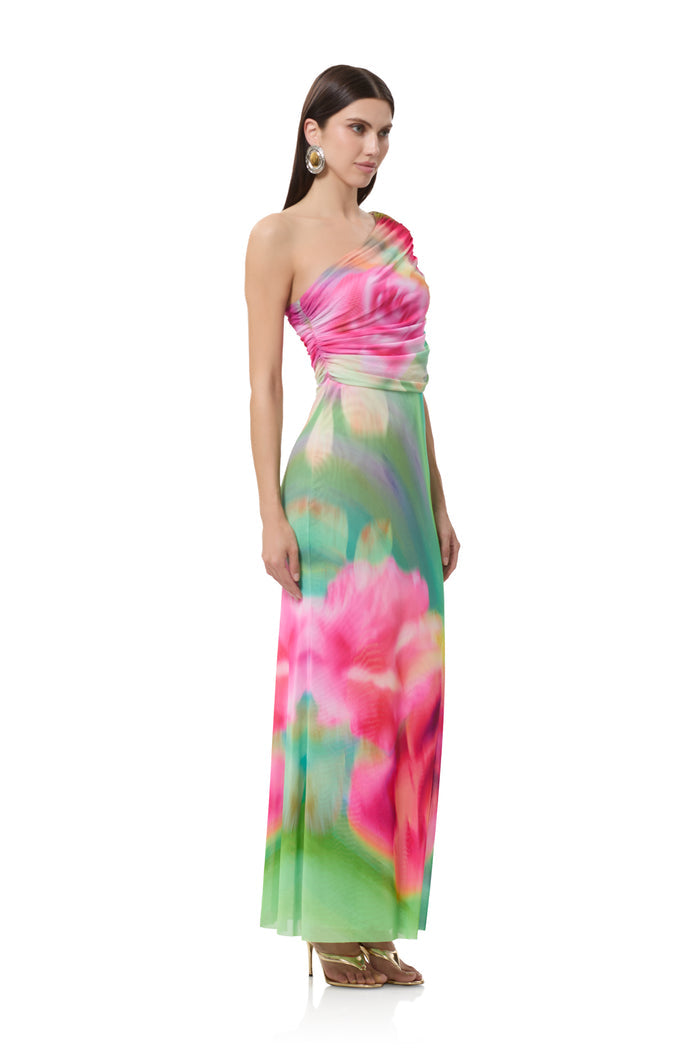 mirabel-dress-green-rose