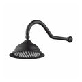 Modern National Bordeaux Shower Arm & Rose in Black  - Online at The Blue Space