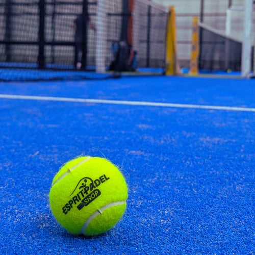 Pack de 12 tubes de balles Head Padel One - Esprit Padel Shop