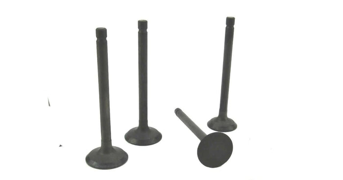 Perkins 100 series & Perama cylinder head valve set
