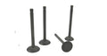 Perkins 100 series & Perama cylinder head valve set