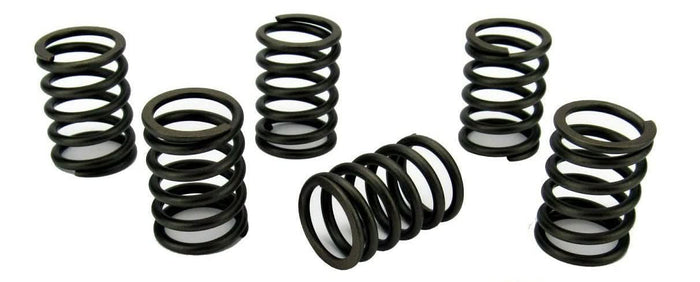 Perkins 100 series valve spring set