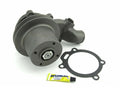 Perkins 4.236 water pump