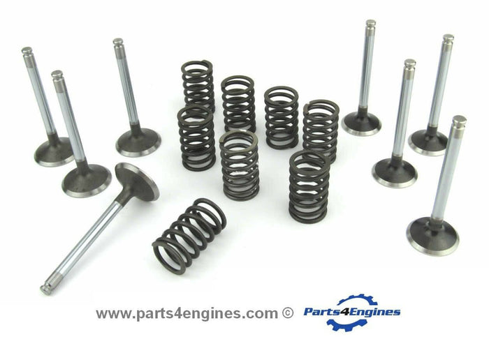 Perkins Prima M80T valve & spring set