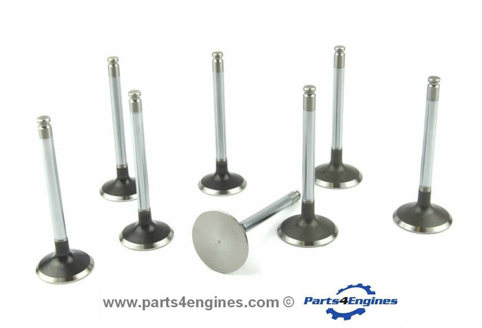 Perkins Prima M80T valve & spring set
