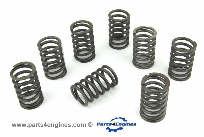 Perkins Prima M80T valve & spring set