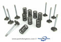 Perkins Prima M80T valve & spring set