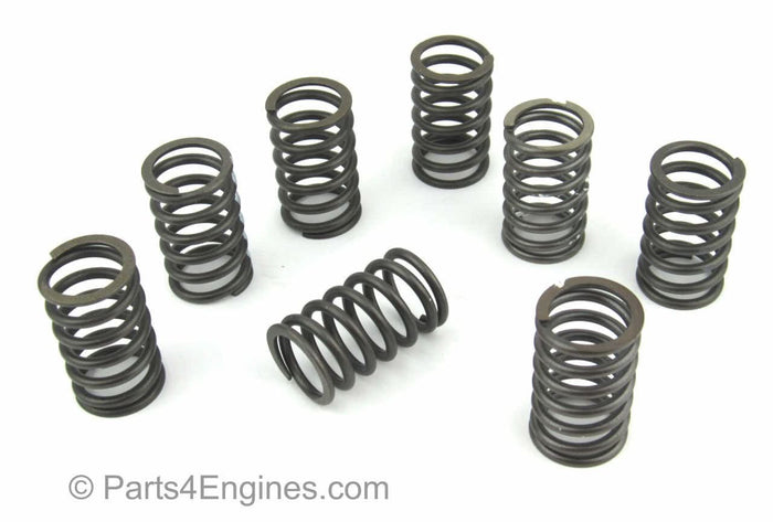 Perkins Prima M80T valve & spring set