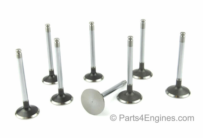 Perkins Prima M80T valve & spring set
