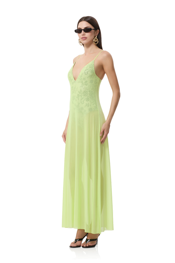 rivka-dress-acid-lace