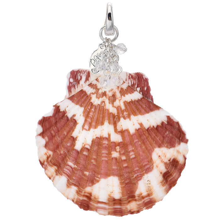Scallop Shell Open Ring Charm Leather Cord 18" Necklace (Sterling Silvertone)