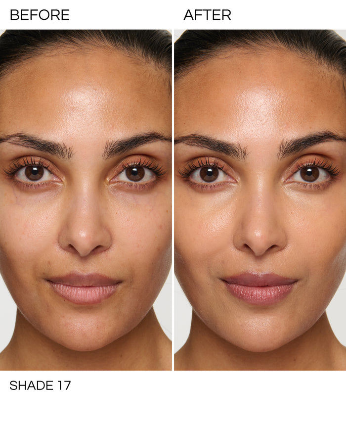 Shade 17 (Luminist Concealer And Micro Face Buffing Brush)