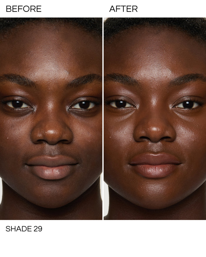 Shade 29 (Luminist Concealer And Micro Face Buffing Brush)