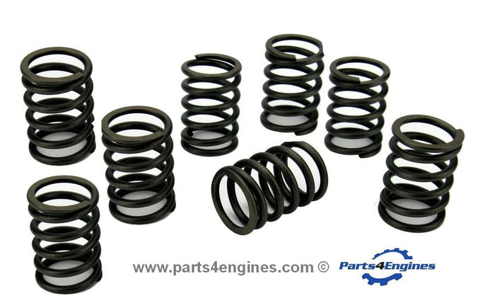 Valve spring set