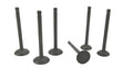 Volvo Penta MD2030 cylinder head valve set.