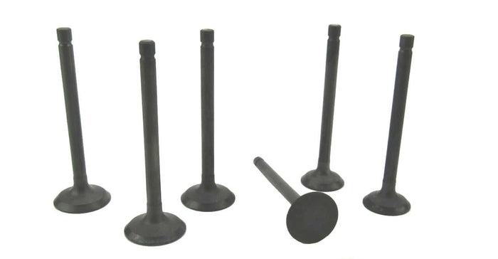 Volvo Penta MD2030 cylinder head valve set.