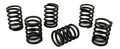 Volvo Penta MD2030 valve spring set
