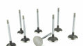Volvo Penta MD22 valve & spring set