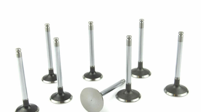 Volvo Penta MD22 valve & spring set