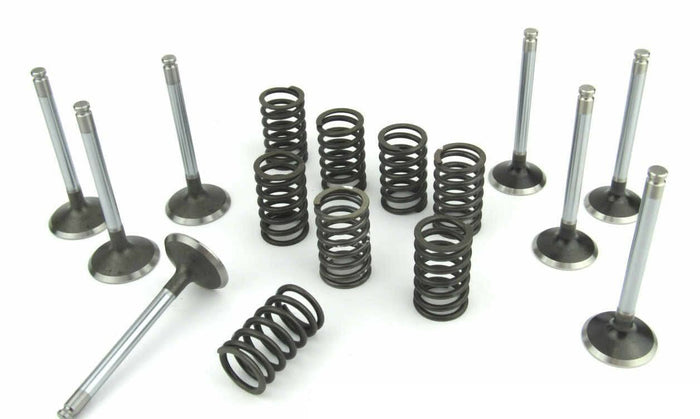 Volvo Penta MD22 valve & spring set