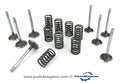 Volvo Penta TAMD22 valve & spring set