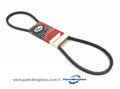 Yanmar 2GM20 alternator belt